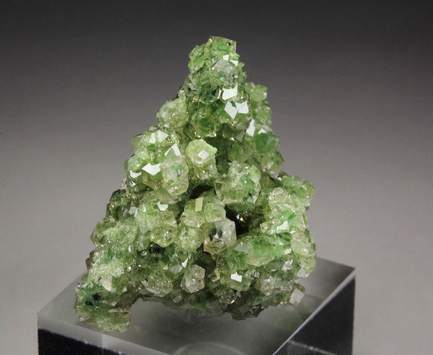 gem GARNET var. GROSSULAR with GREEN CHROMIAN PHANTOMS