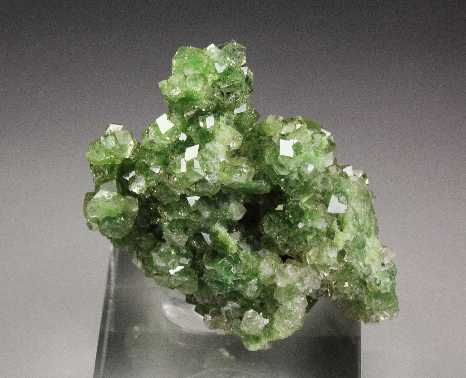 gem GARNET var. GROSSULAR with GREEN CHROMIAN PHANTOMS