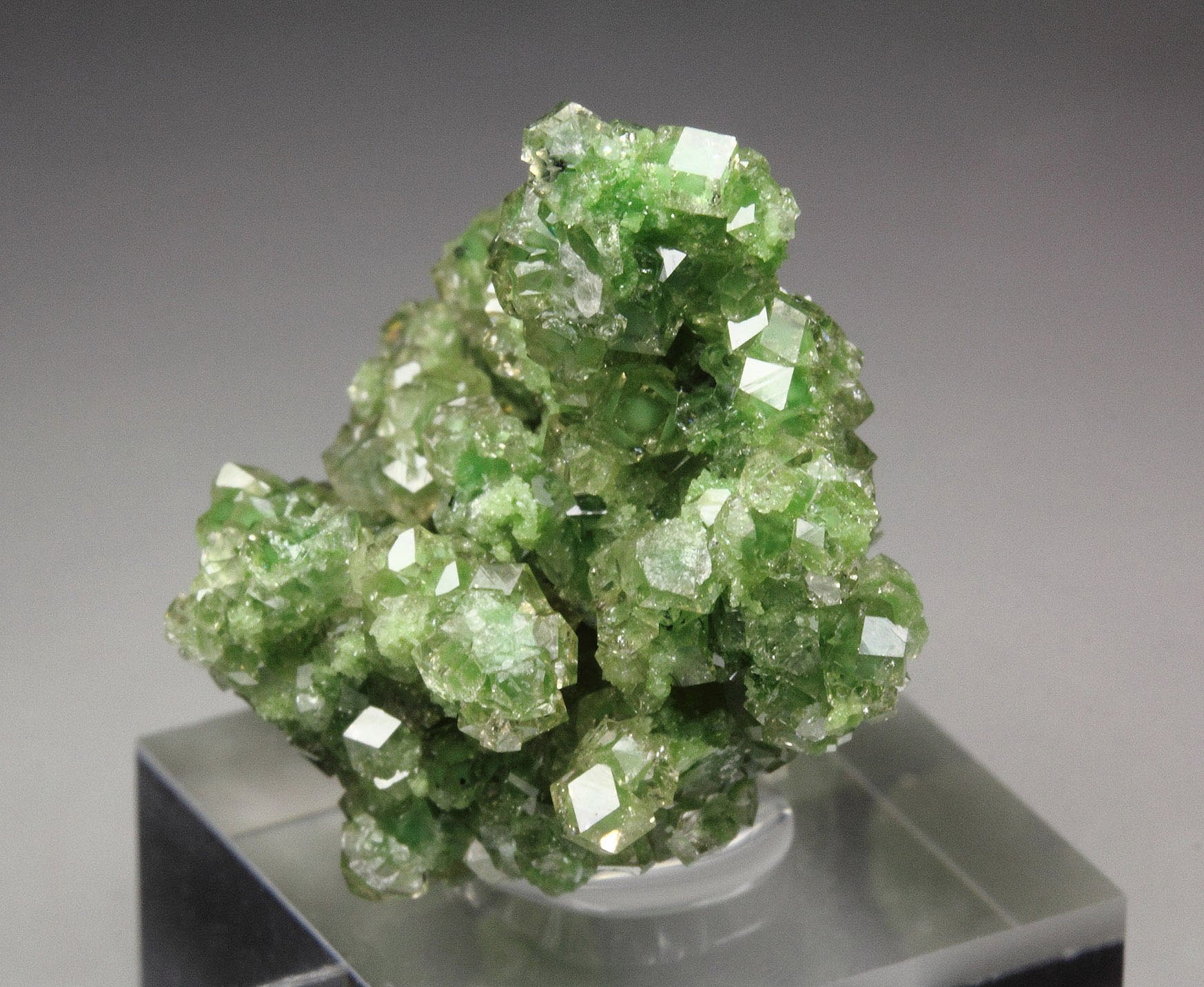 gem GARNET var. GROSSULAR with GREEN CHROMIAN PHANTOMS
