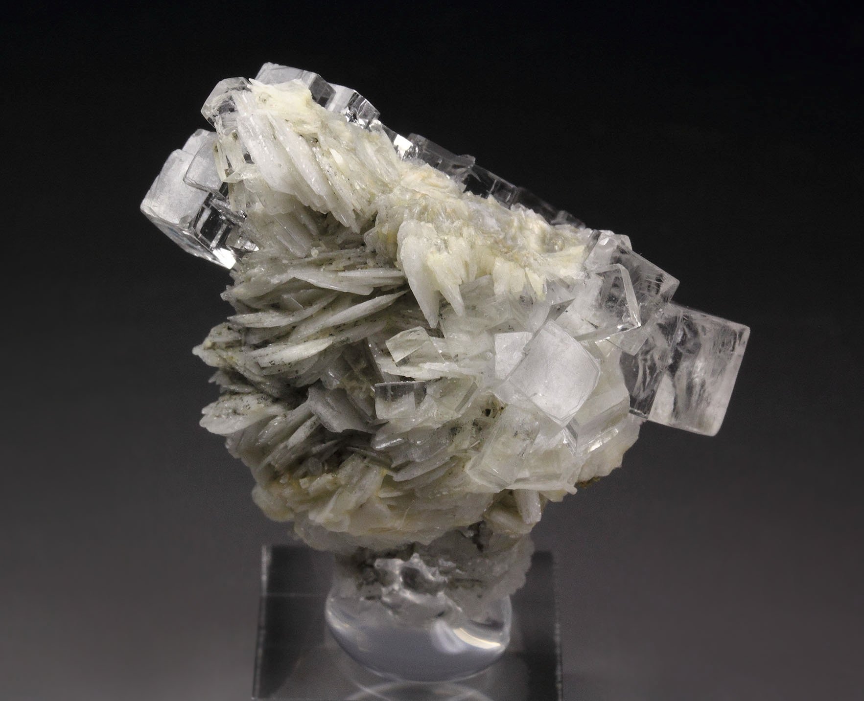 FLUORITE with PHANTOMS, BARYTE