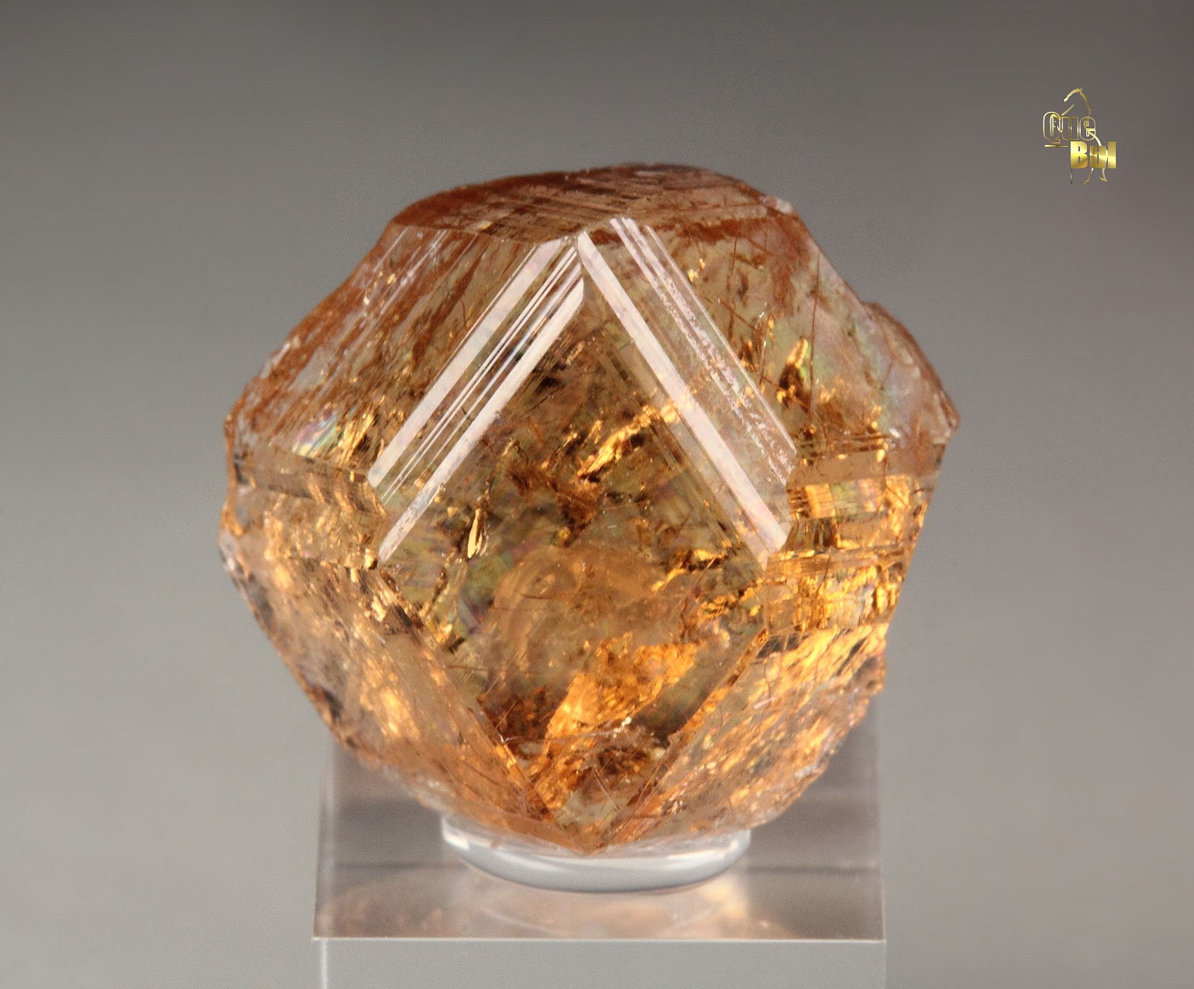 gem GARNET var. GROSSULAR