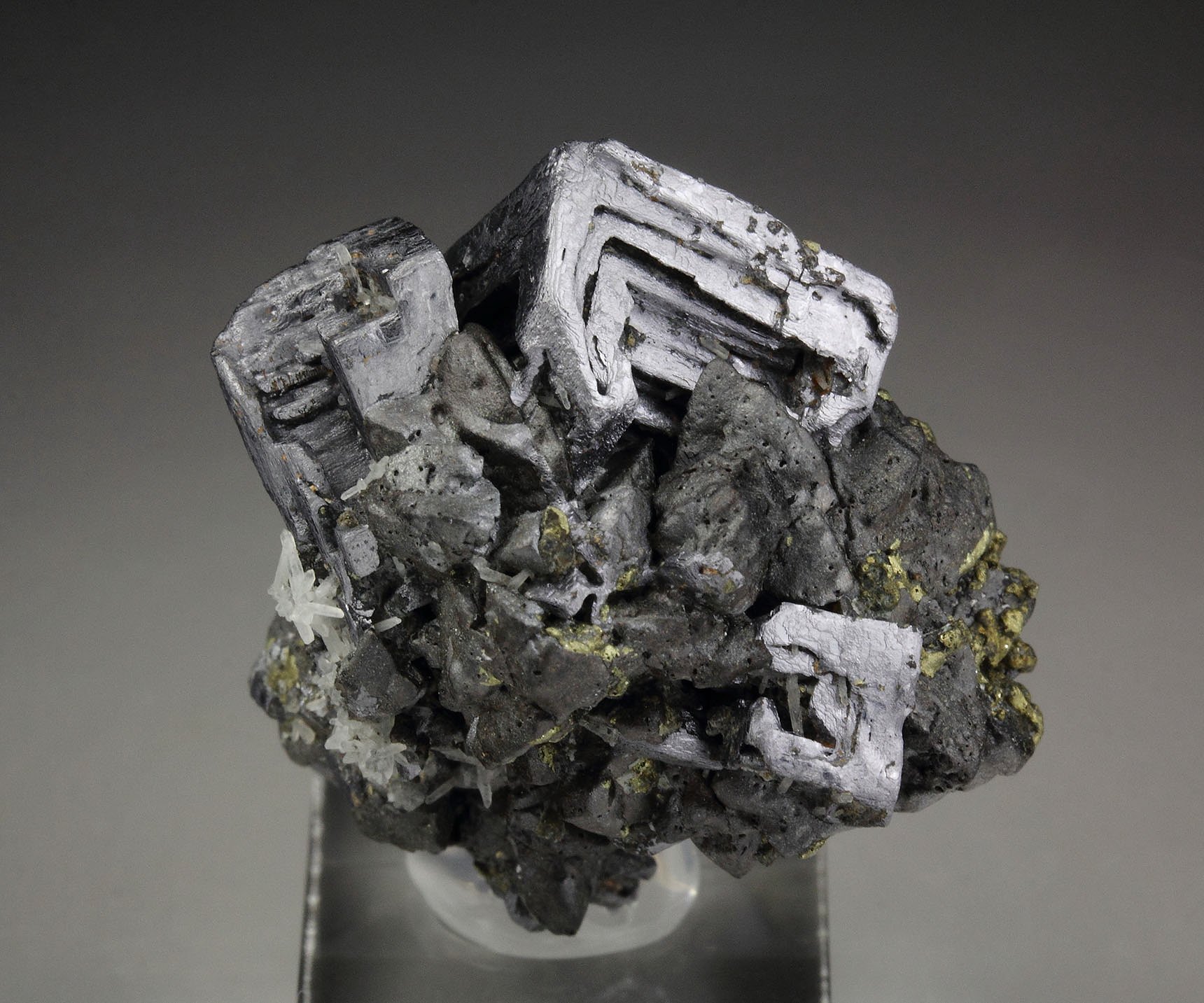 skeletal GALENA, CHALCOPYRITE, SPHALERITE, QUARTZ