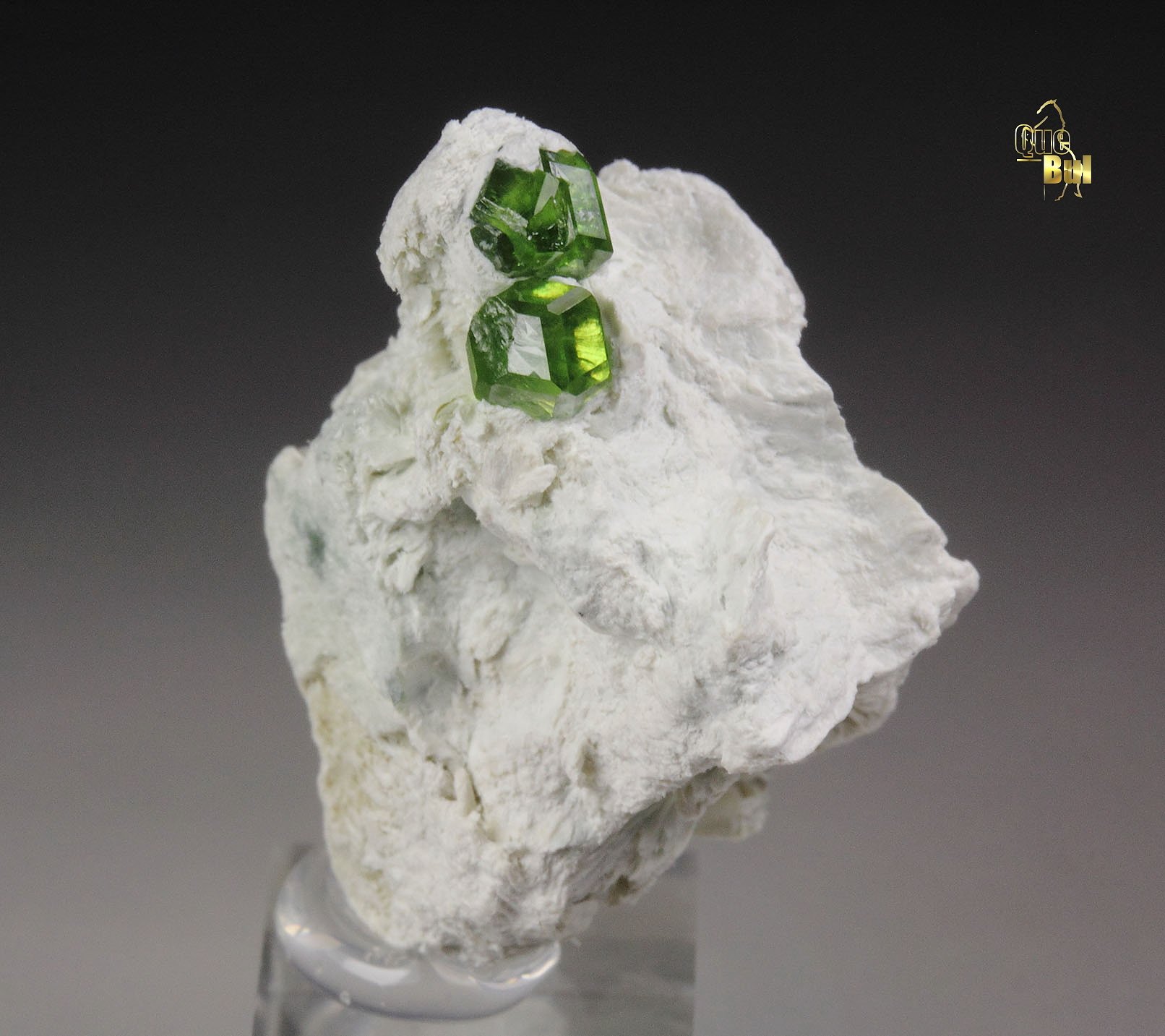 gem GARNET var. ANDRADITE var. DEMANTOID