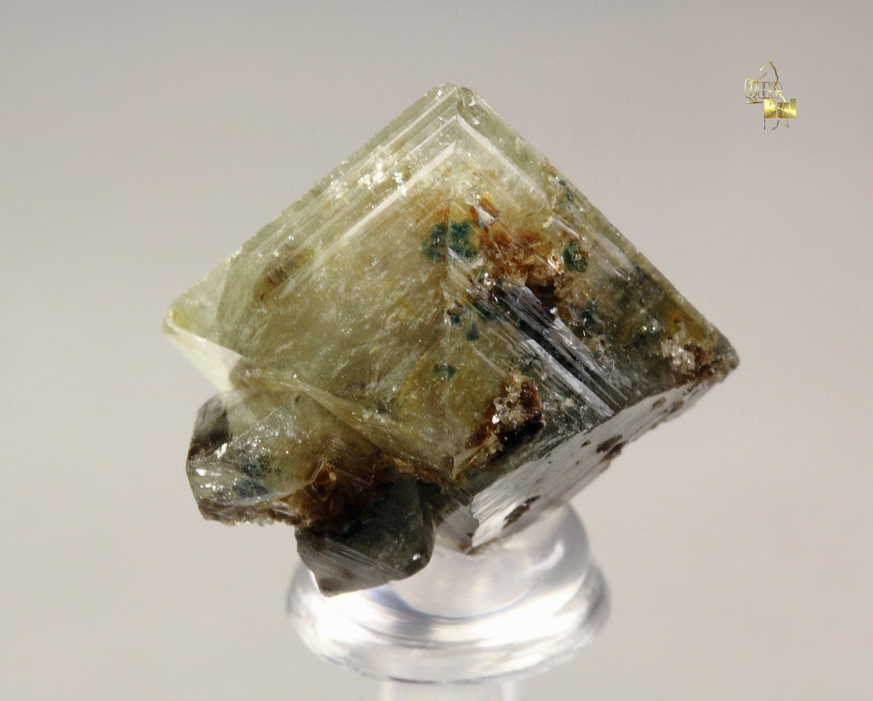 WARDITE with LAZULITE inclusions