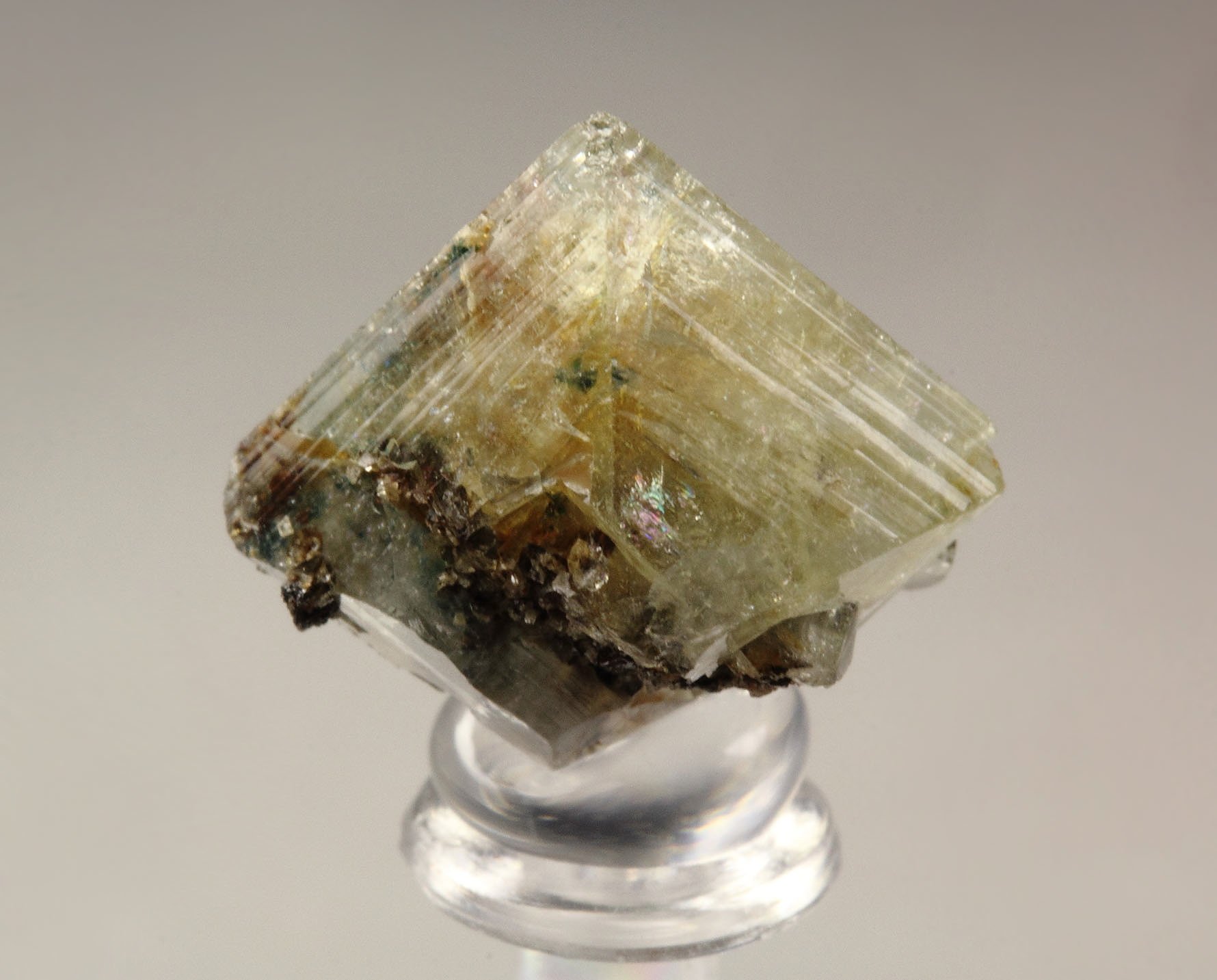 WARDITE with LAZULITE inclusions