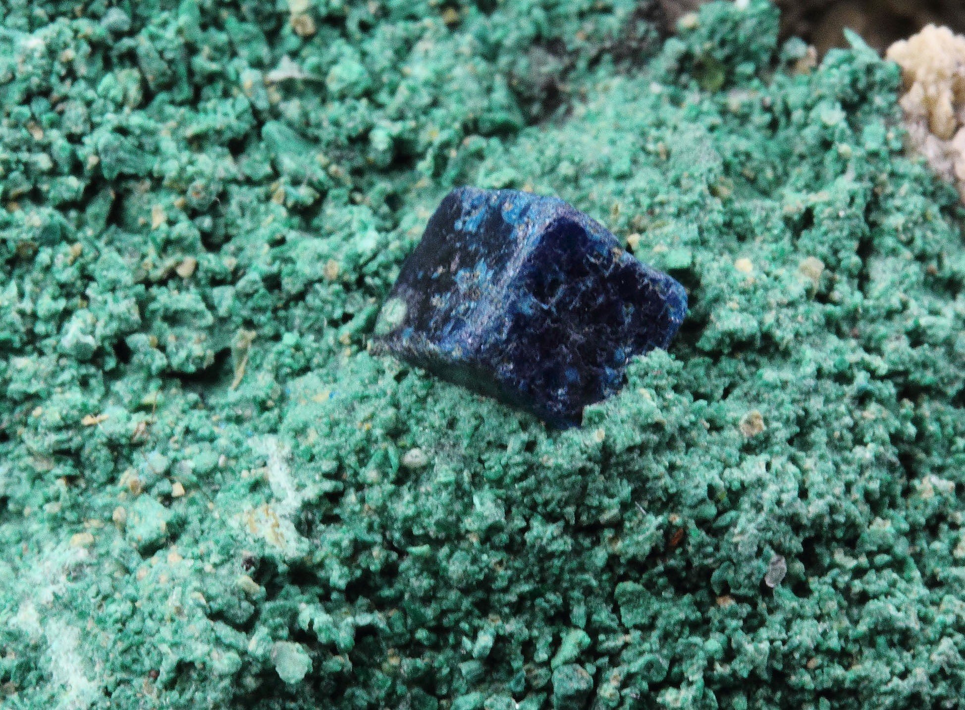 BOLEITE, PARATACAMITE, GYPSUM