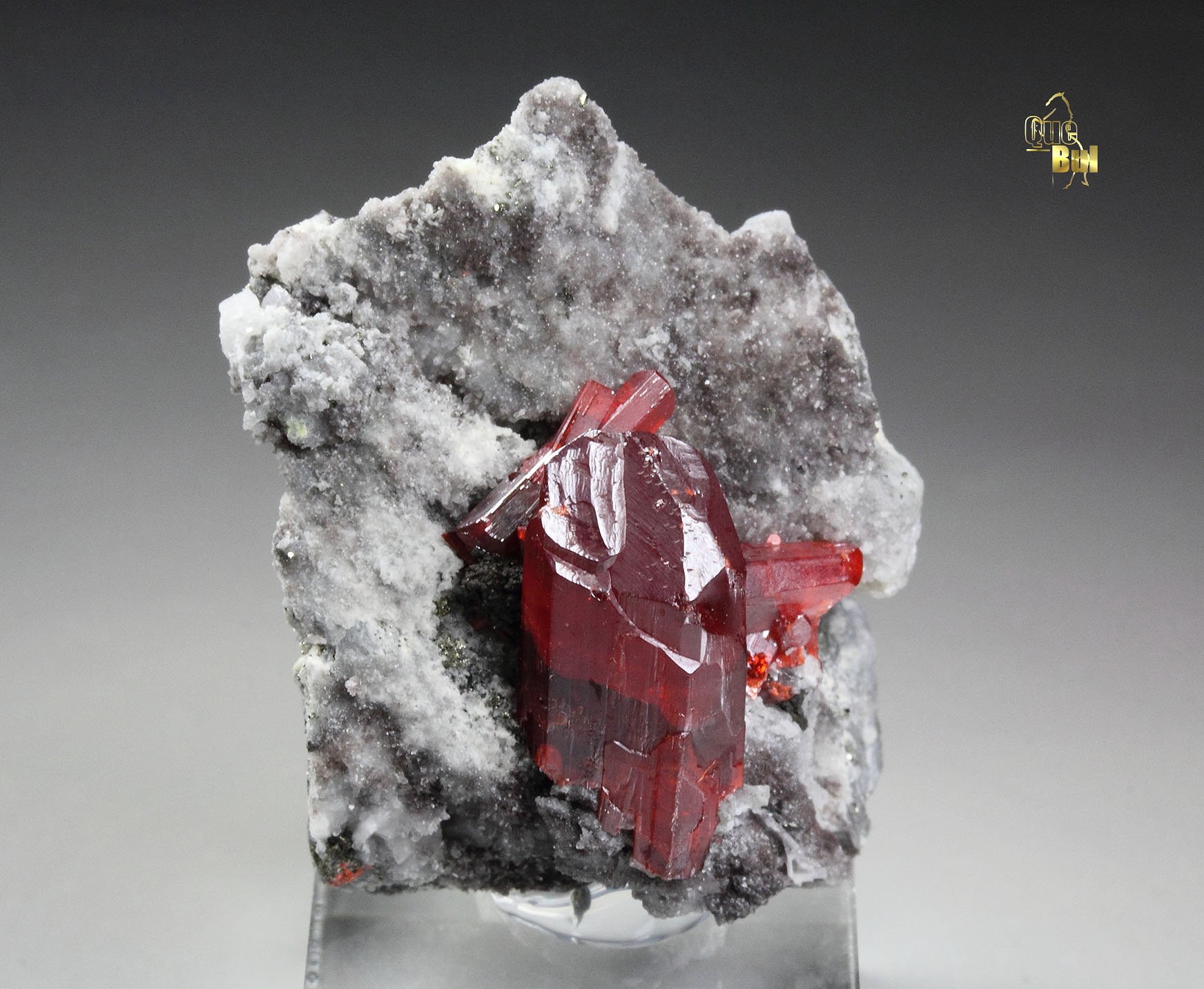 REALGAR