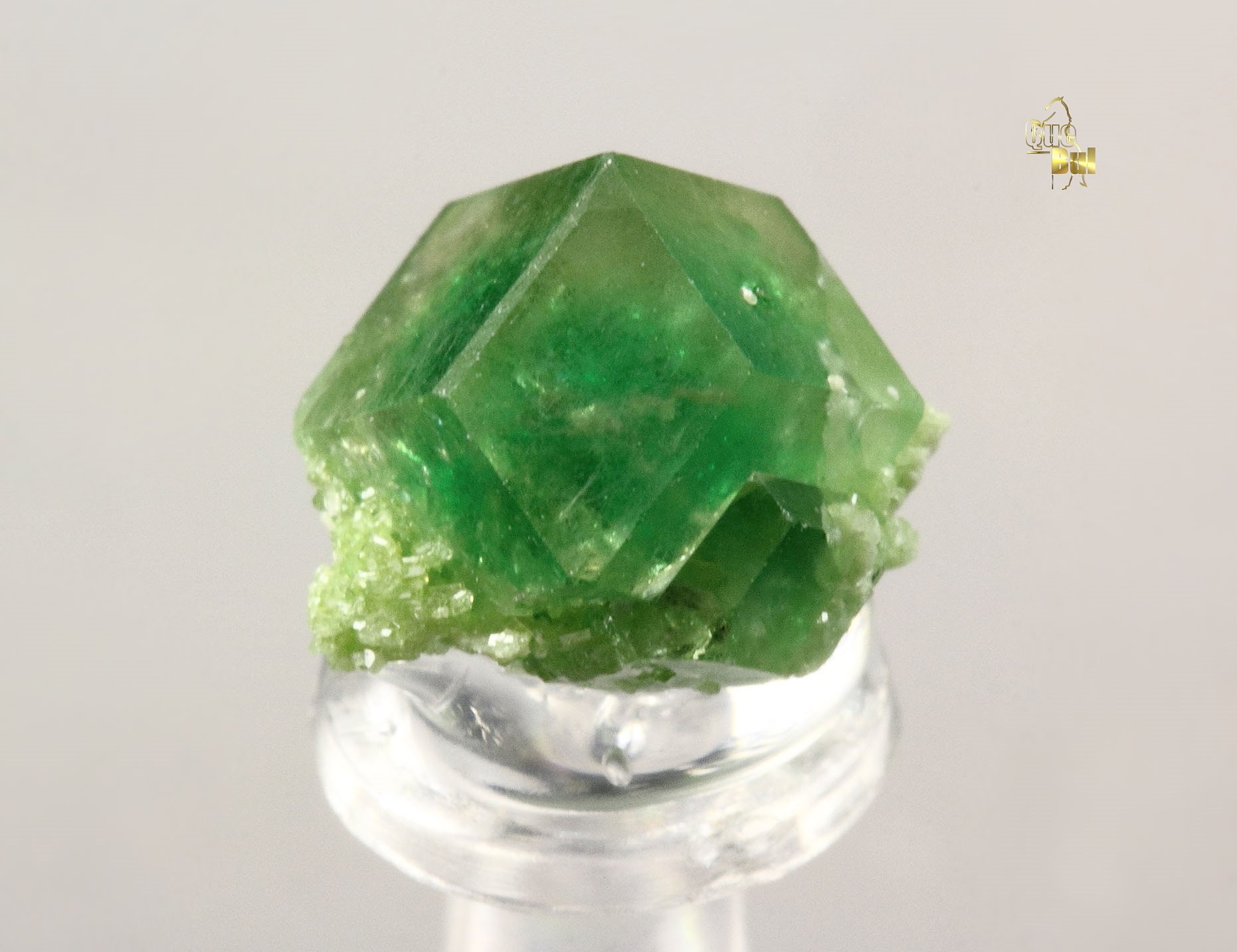 gem GARNET var. GROSSULAR with GREEN CHROMIAN PHANTOM, DIOPSIDE
