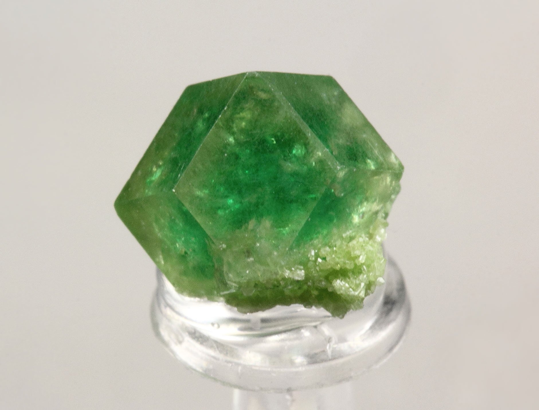 gem GARNET var. GROSSULAR with GREEN CHROMIAN PHANTOM, DIOPSIDE