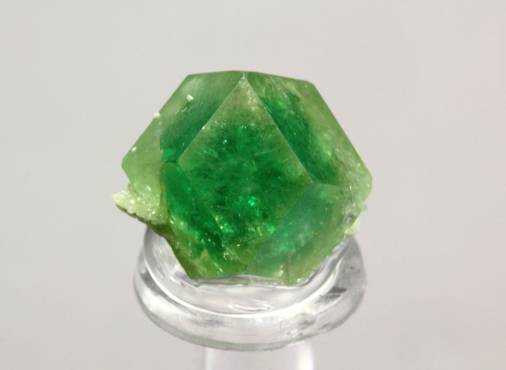 gem GARNET var. GROSSULAR with GREEN CHROMIAN PHANTOM, DIOPSIDE