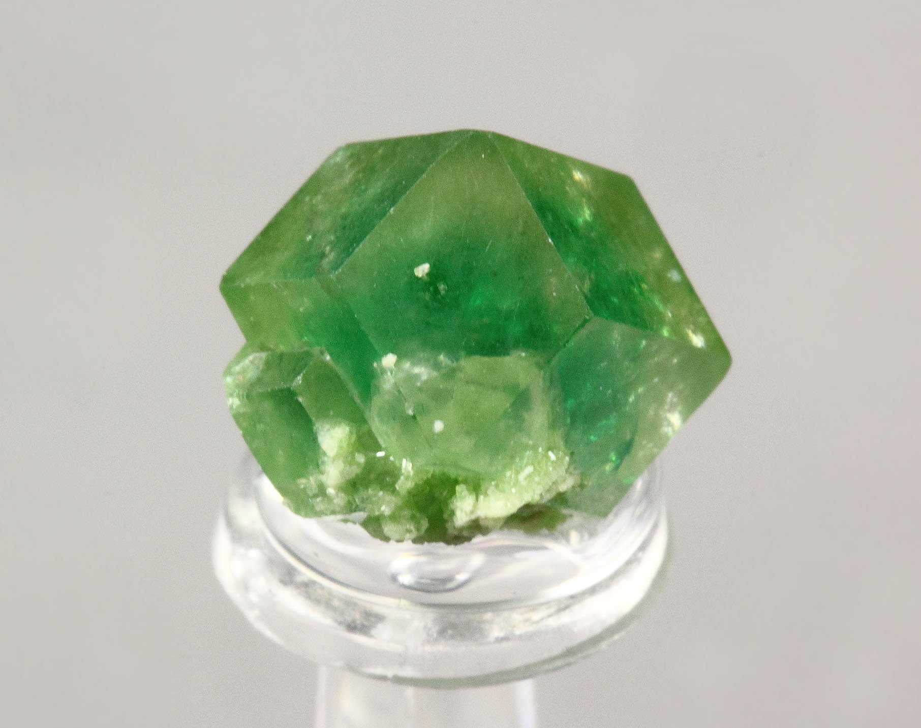 gem GARNET var. GROSSULAR with GREEN CHROMIAN PHANTOM, DIOPSIDE