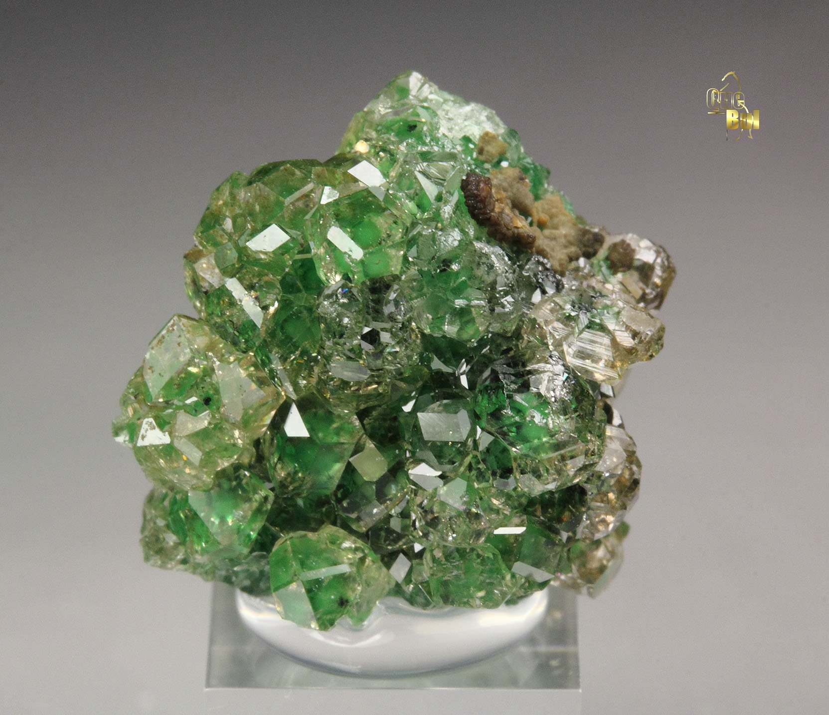 gem GARNET var. GROSSULAR with GREEN CHROMIAN PHANTOMS, CHROMITE