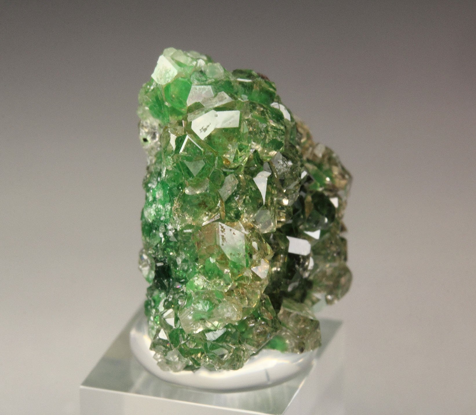 gem GARNET var. GROSSULAR with GREEN CHROMIAN PHANTOMS, CHROMITE