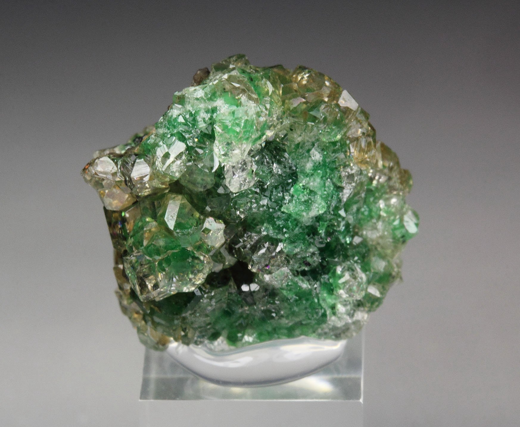 gem GARNET var. GROSSULAR with GREEN CHROMIAN PHANTOMS, CHROMITE