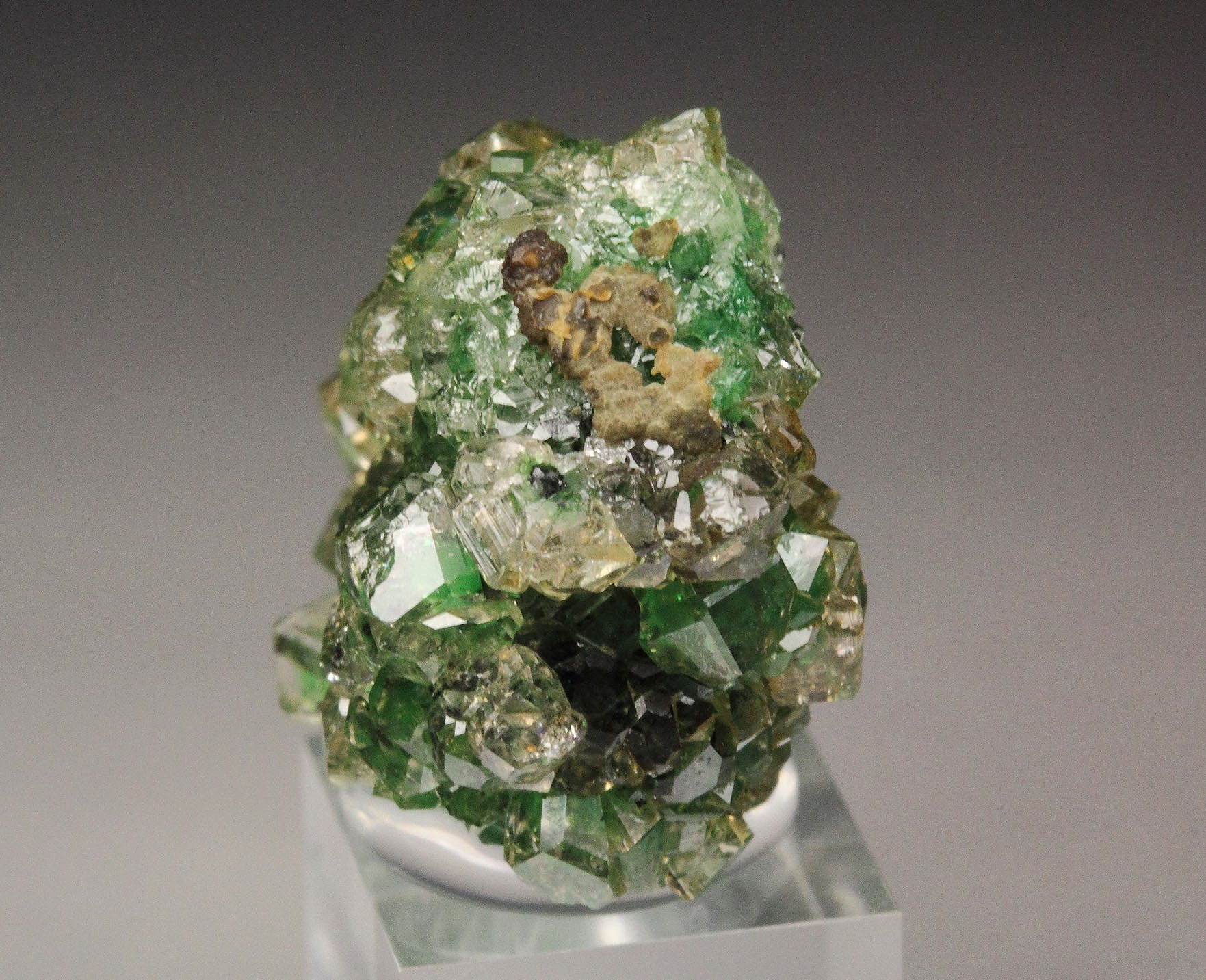 gem GARNET var. GROSSULAR with GREEN CHROMIAN PHANTOMS, CHROMITE