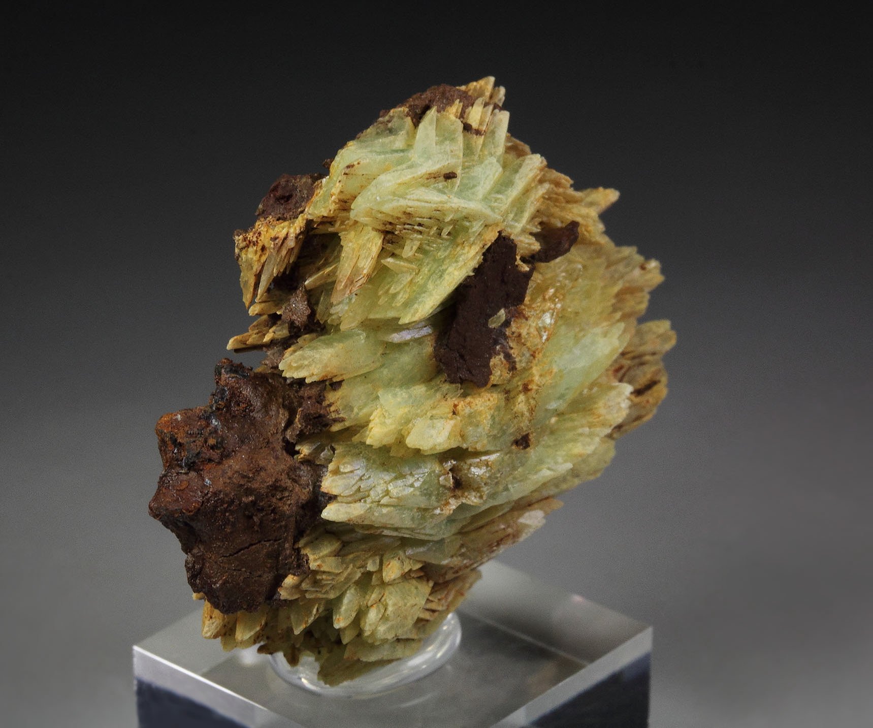 PHOSPHOPHYLLITE
