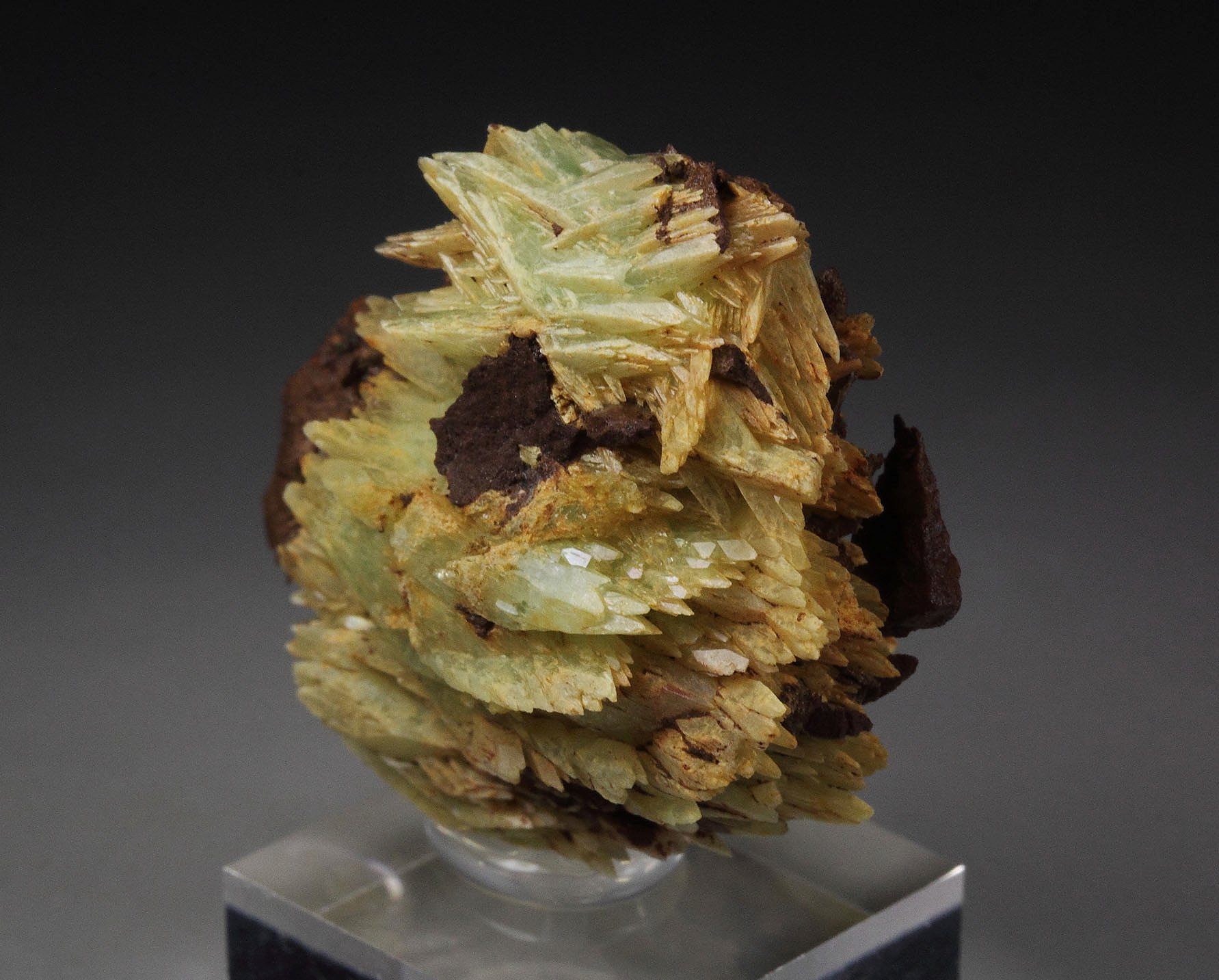 PHOSPHOPHYLLITE