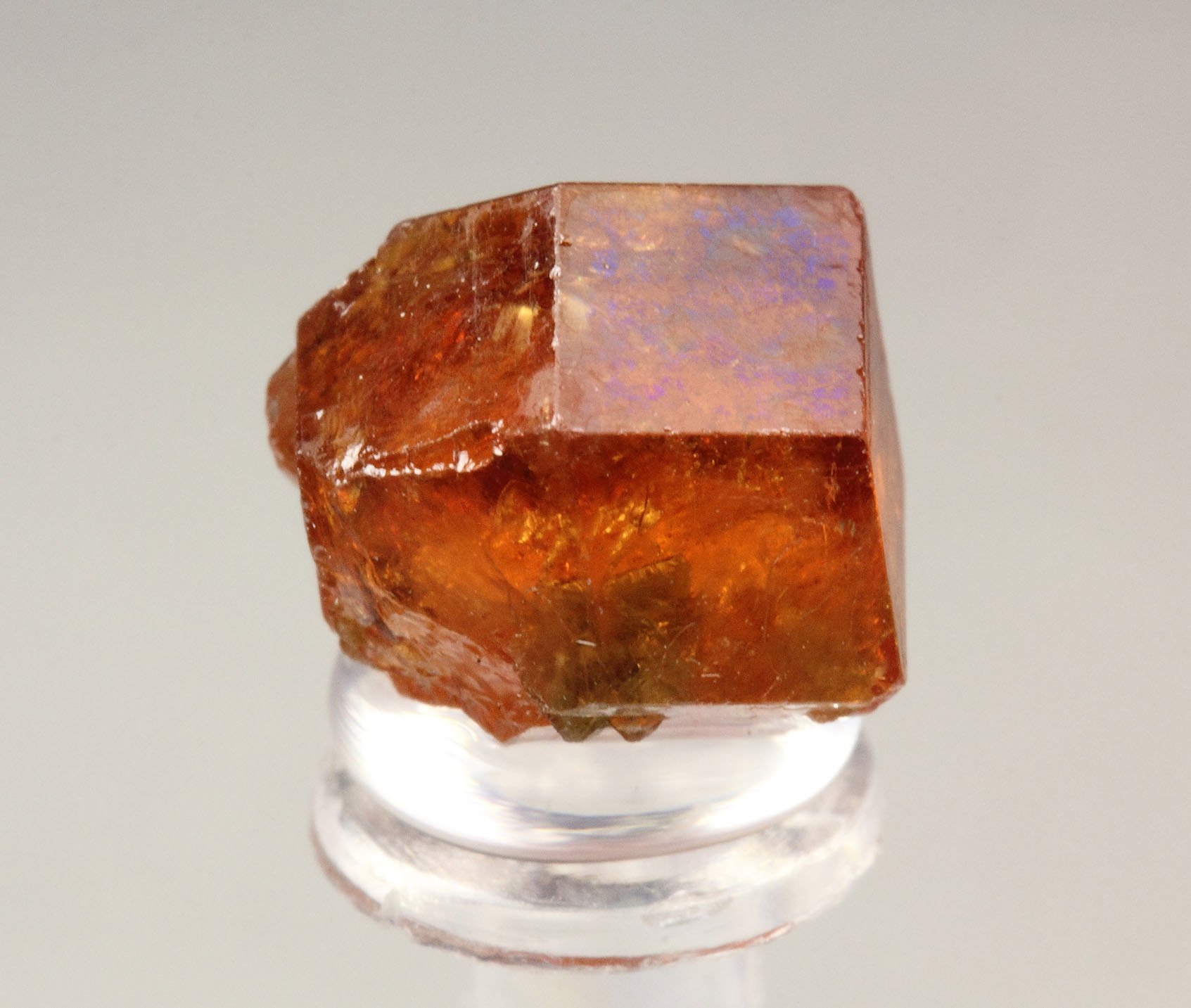 gem GARNET var. GROSSULAR