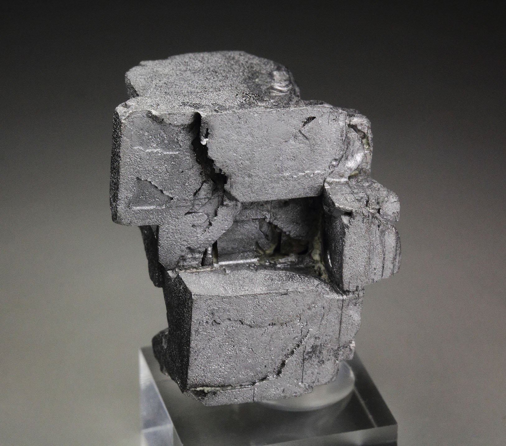 skeletal GALENA