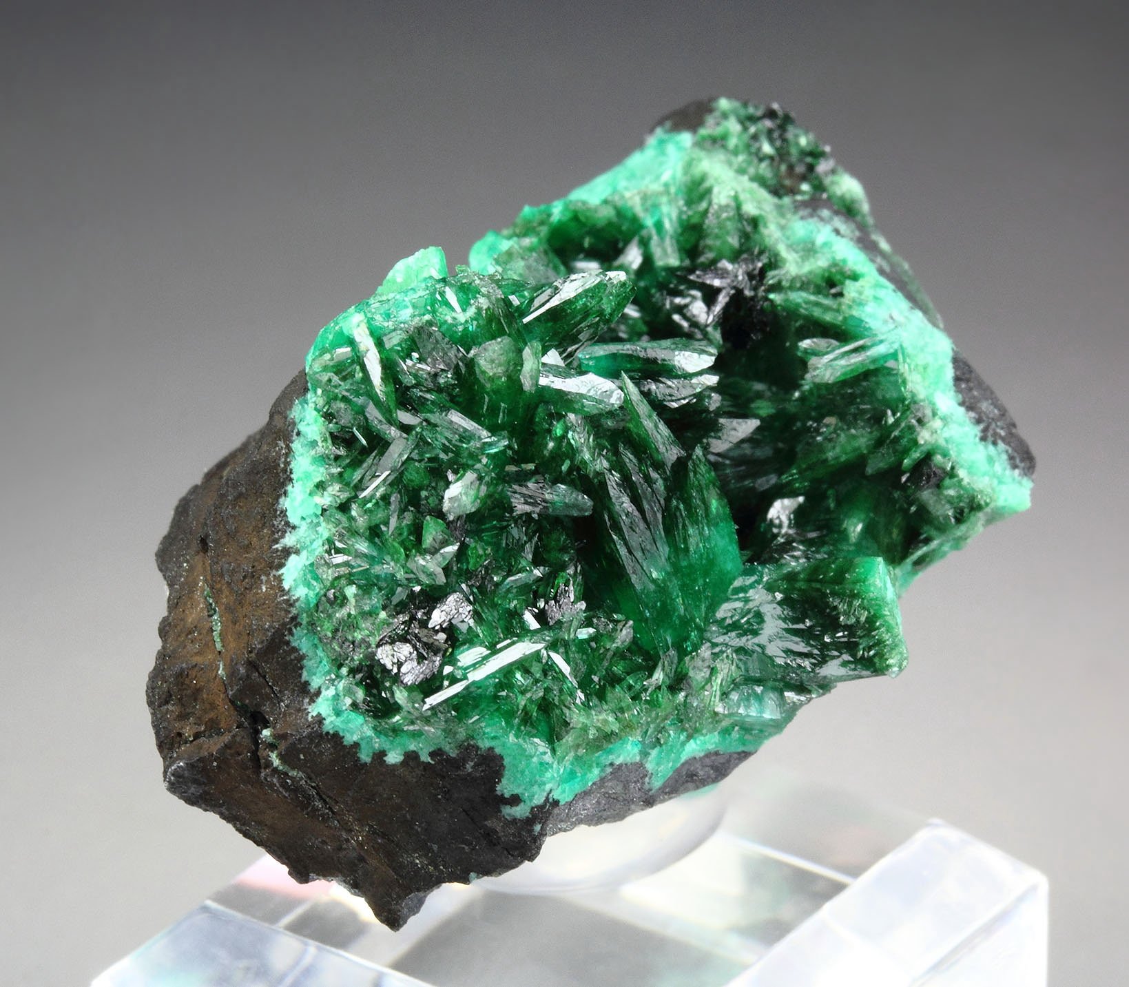 ZINCOLIVENITE