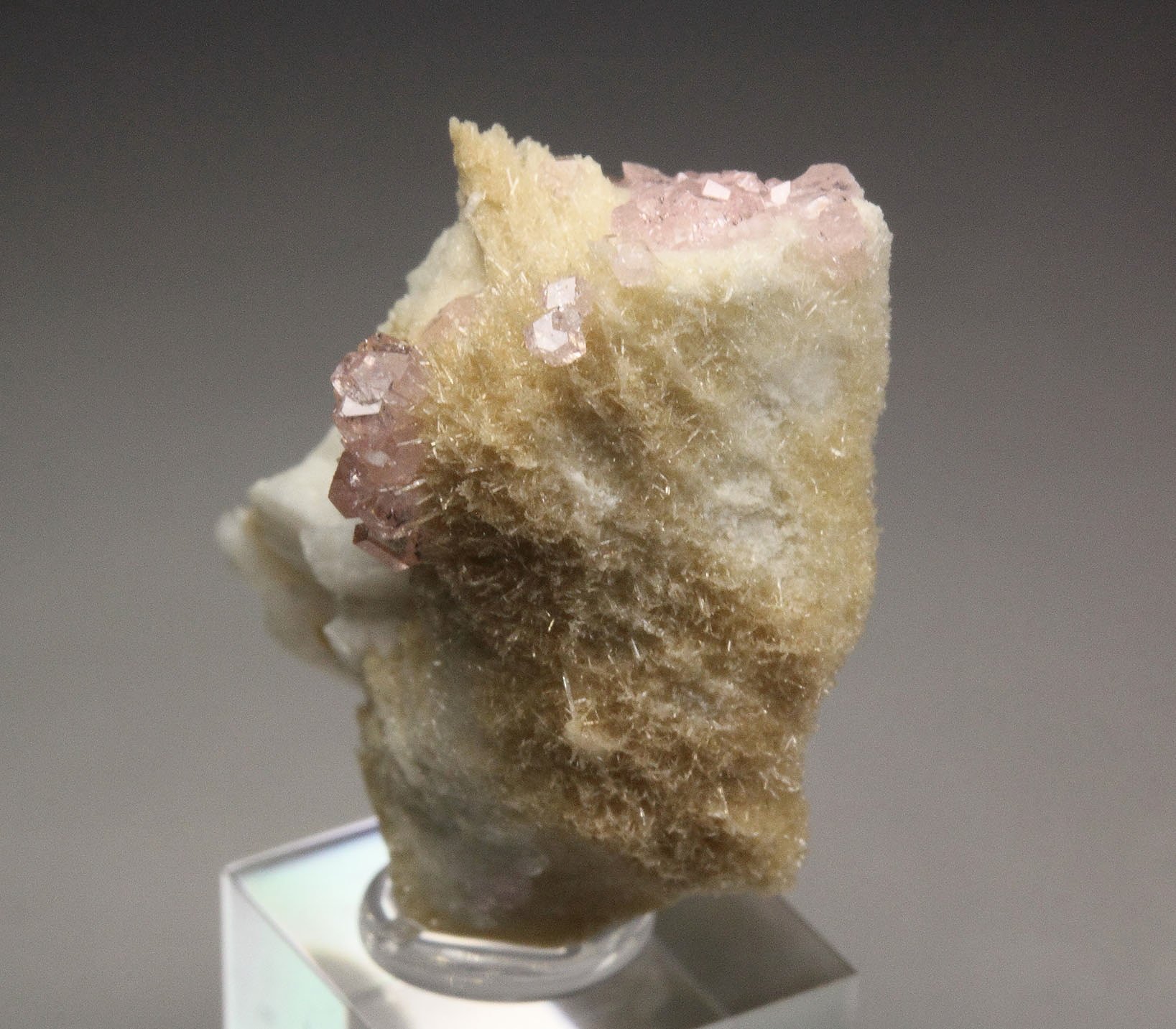 gem pink GARNET var. GROSSULAR, DIOPSIDE, ALBITE