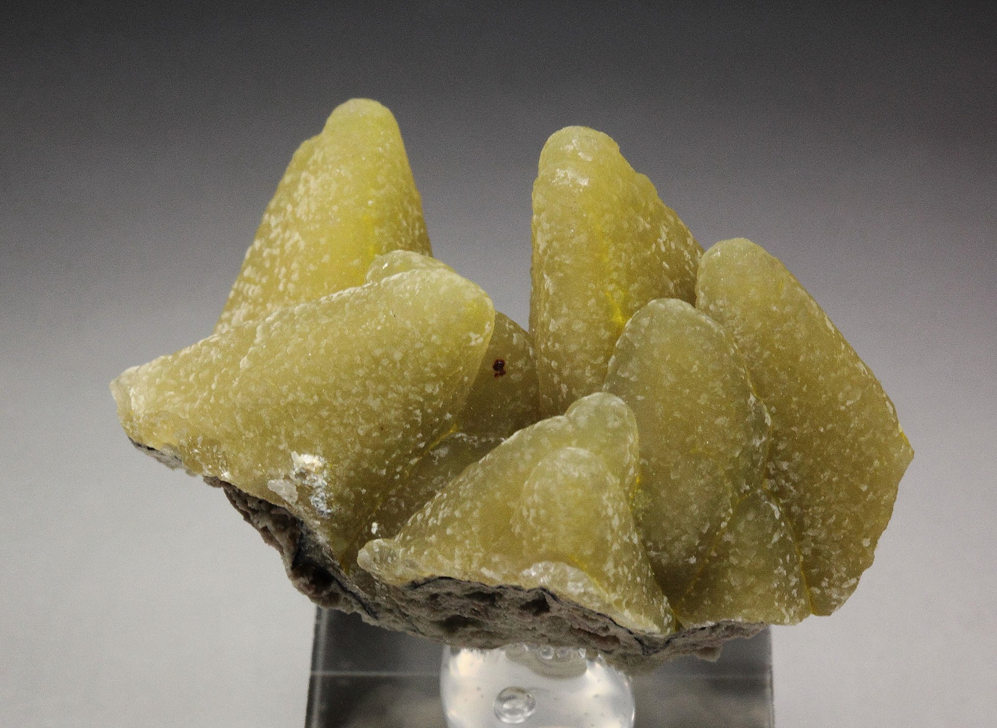 SMITHSONITE epimorph after CALCITE 