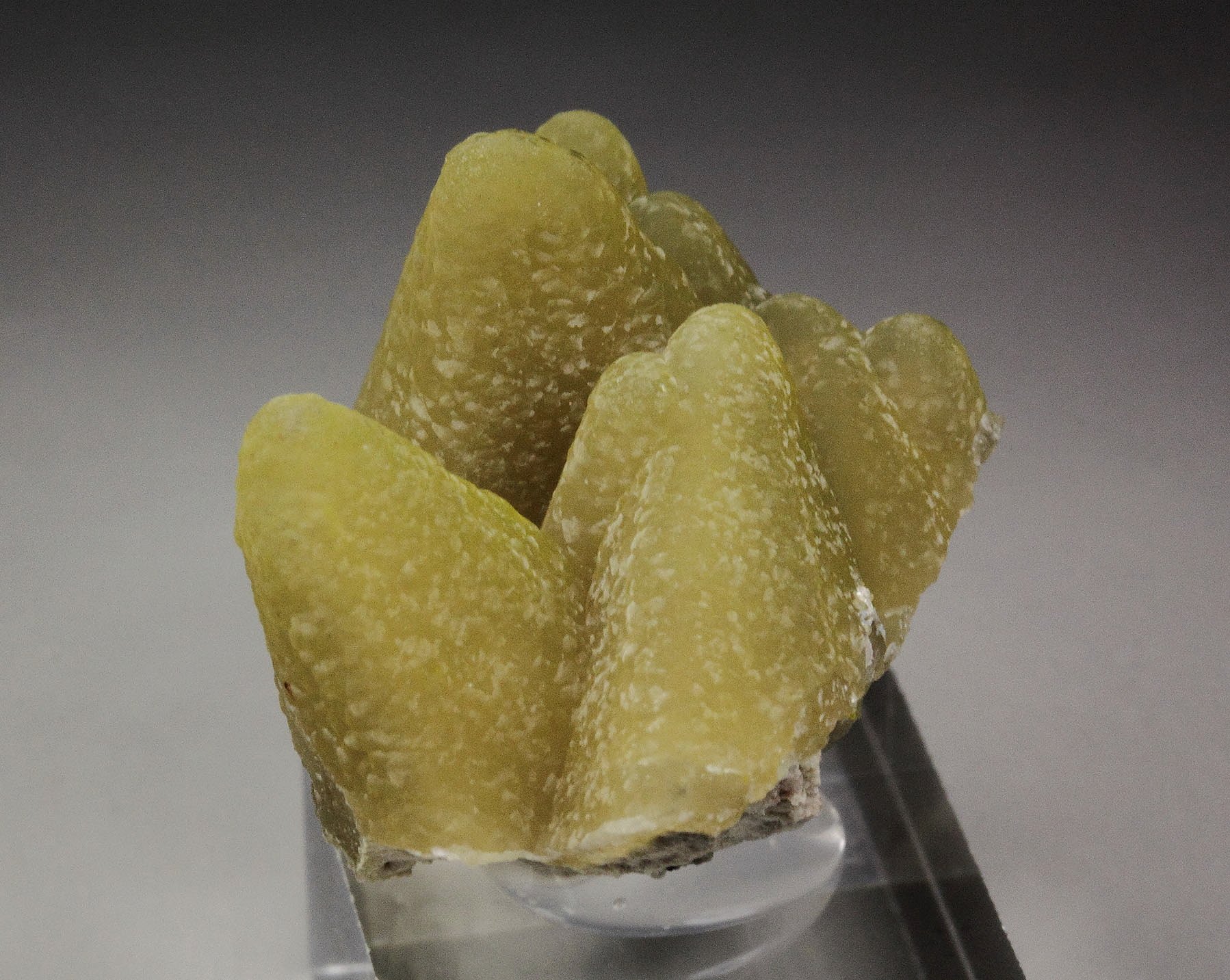SMITHSONITE epimorph after CALCITE 