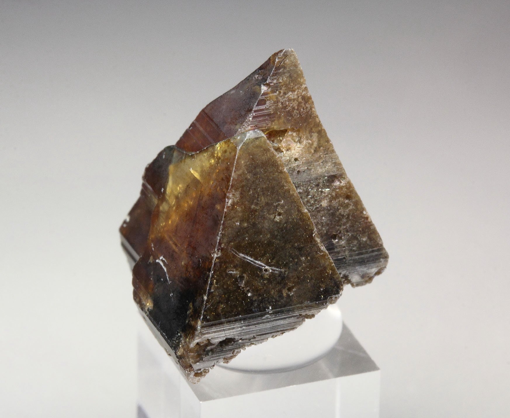 ANATASE, RUTILE pseudomorph