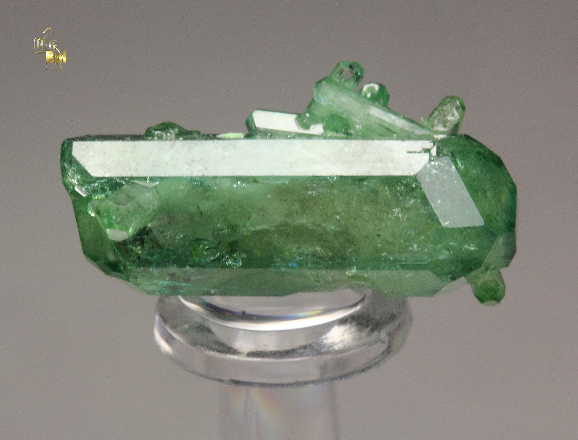 bi-terminated VESUVIANITE var. CHROMIAN