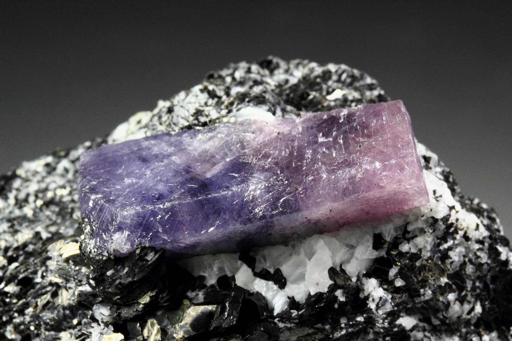 bi-color CORUNDUM var. RUBY, MUSCOVITE