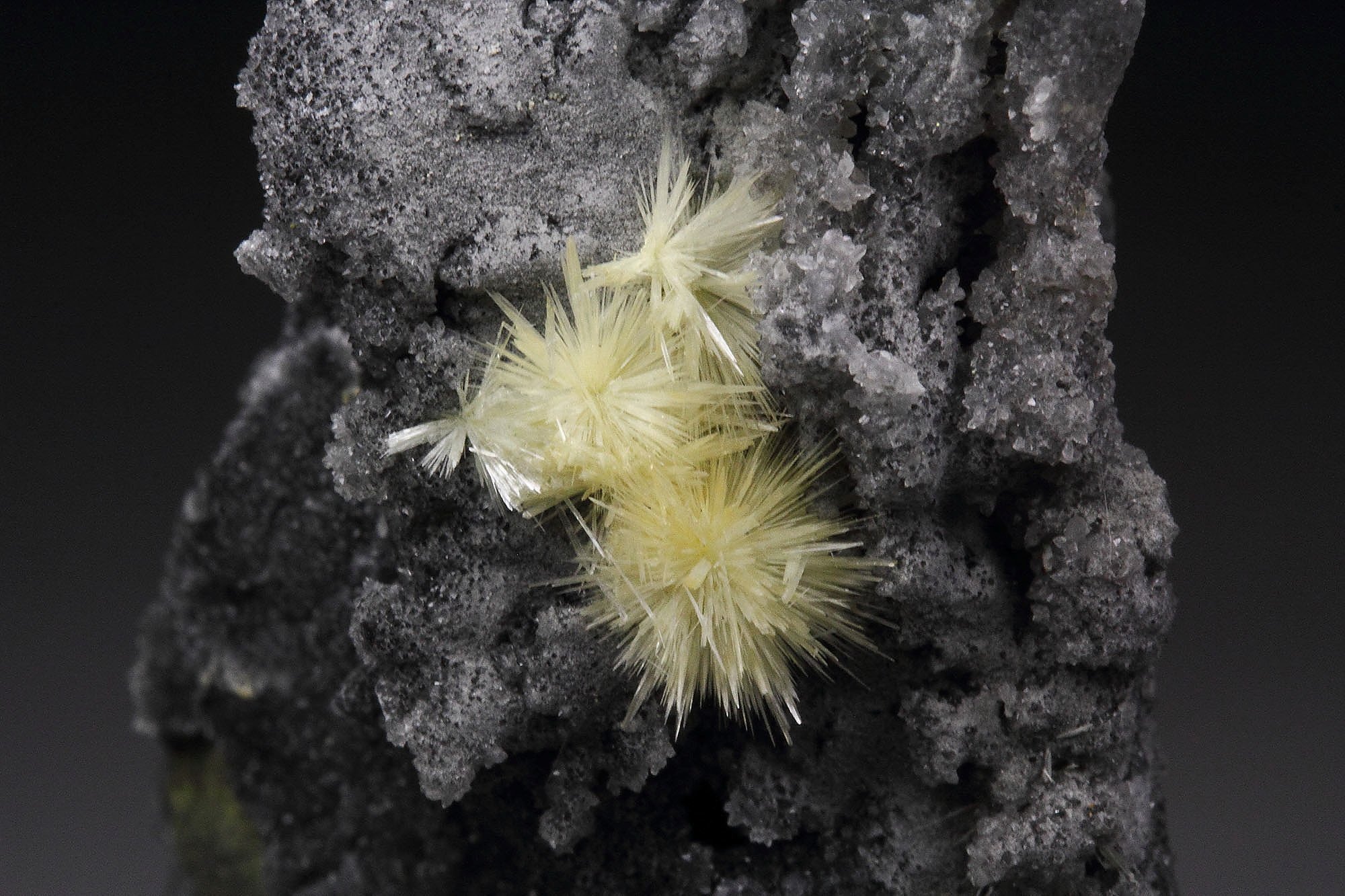 VALENTINITE