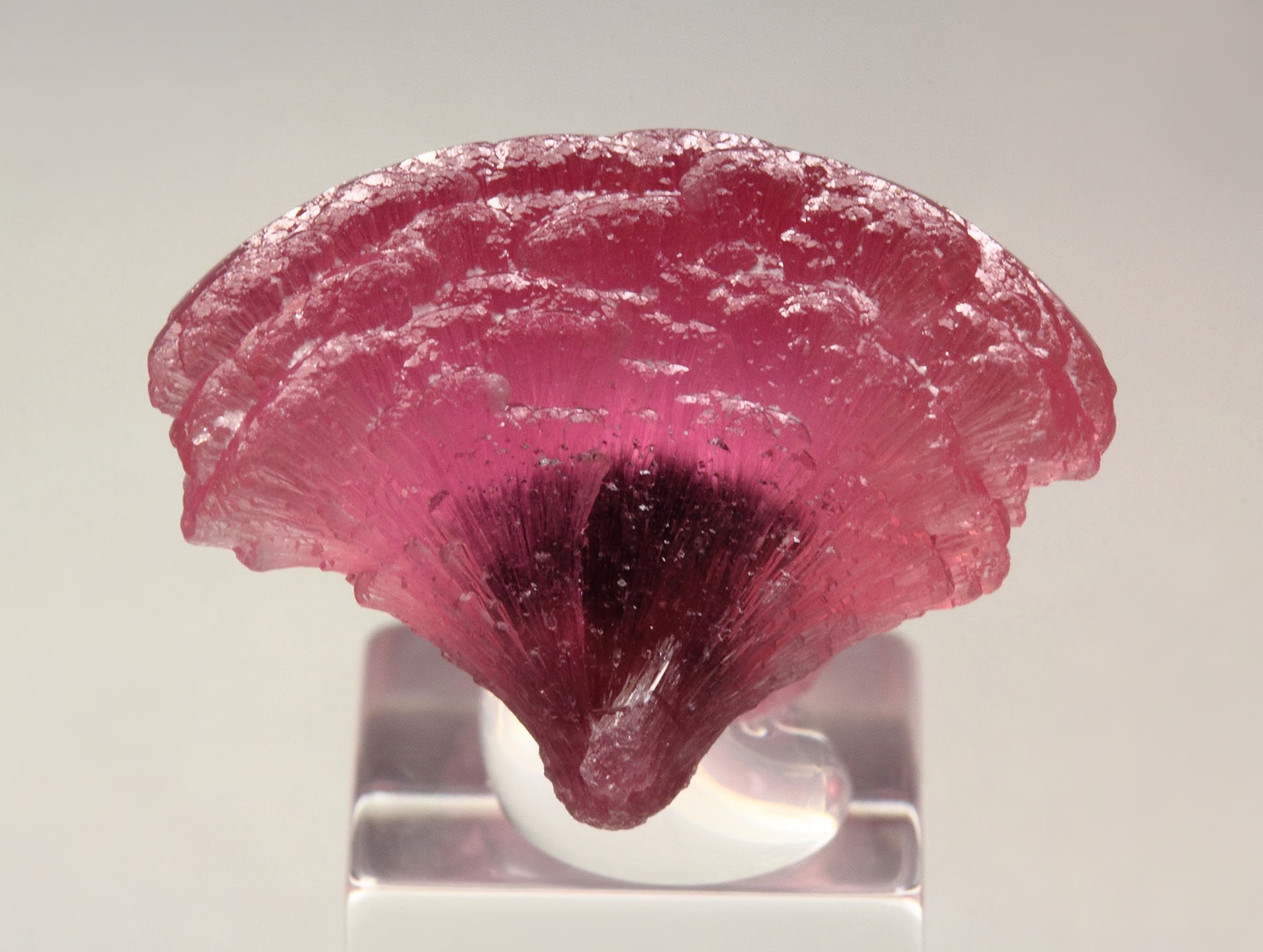 TOURMALINE var. RUBELLITE