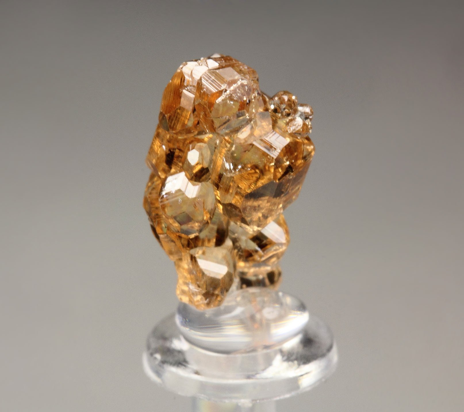 gem GARNET var. GROSSULAR - floater
