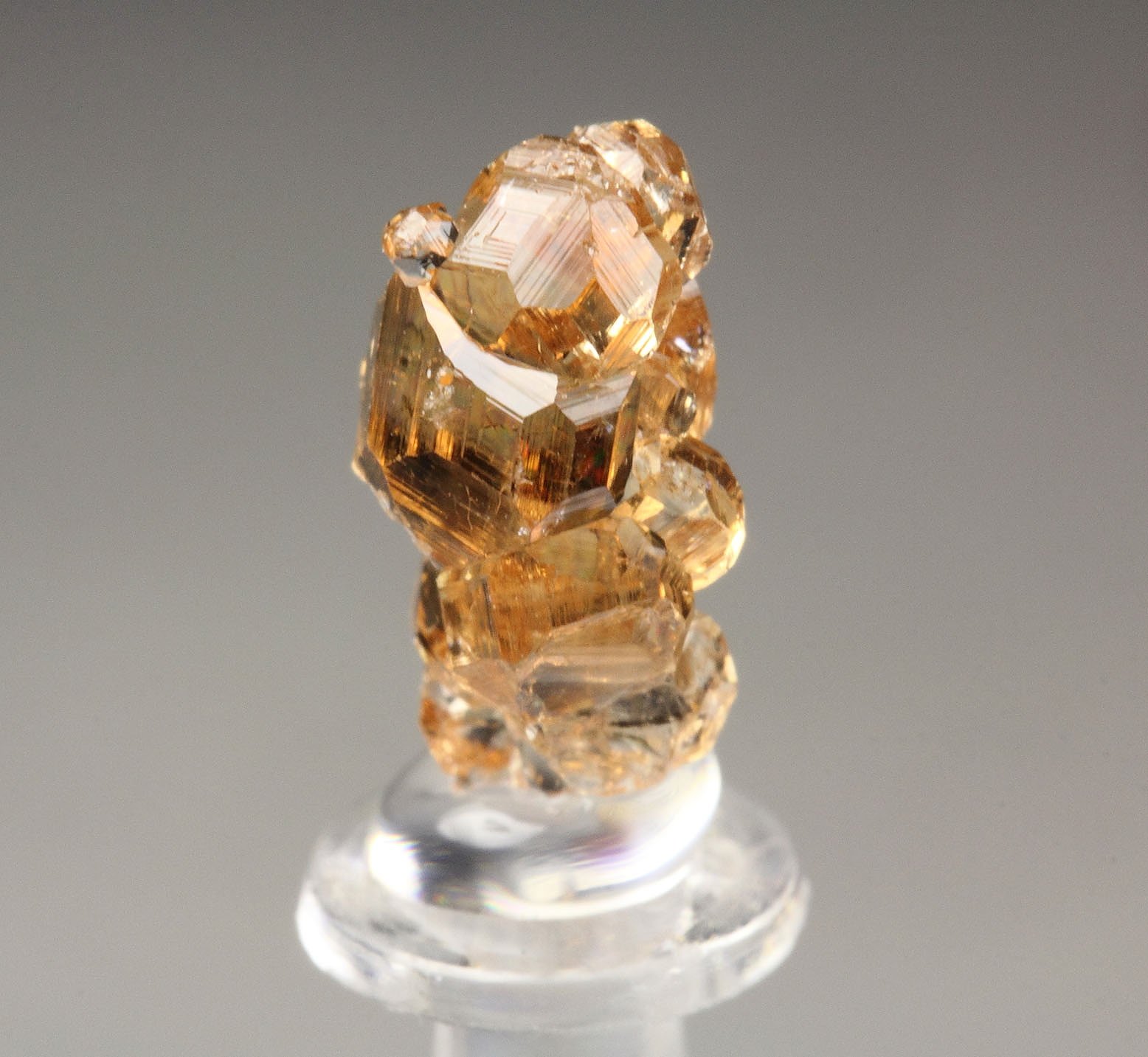 gem GARNET var. GROSSULAR - floater