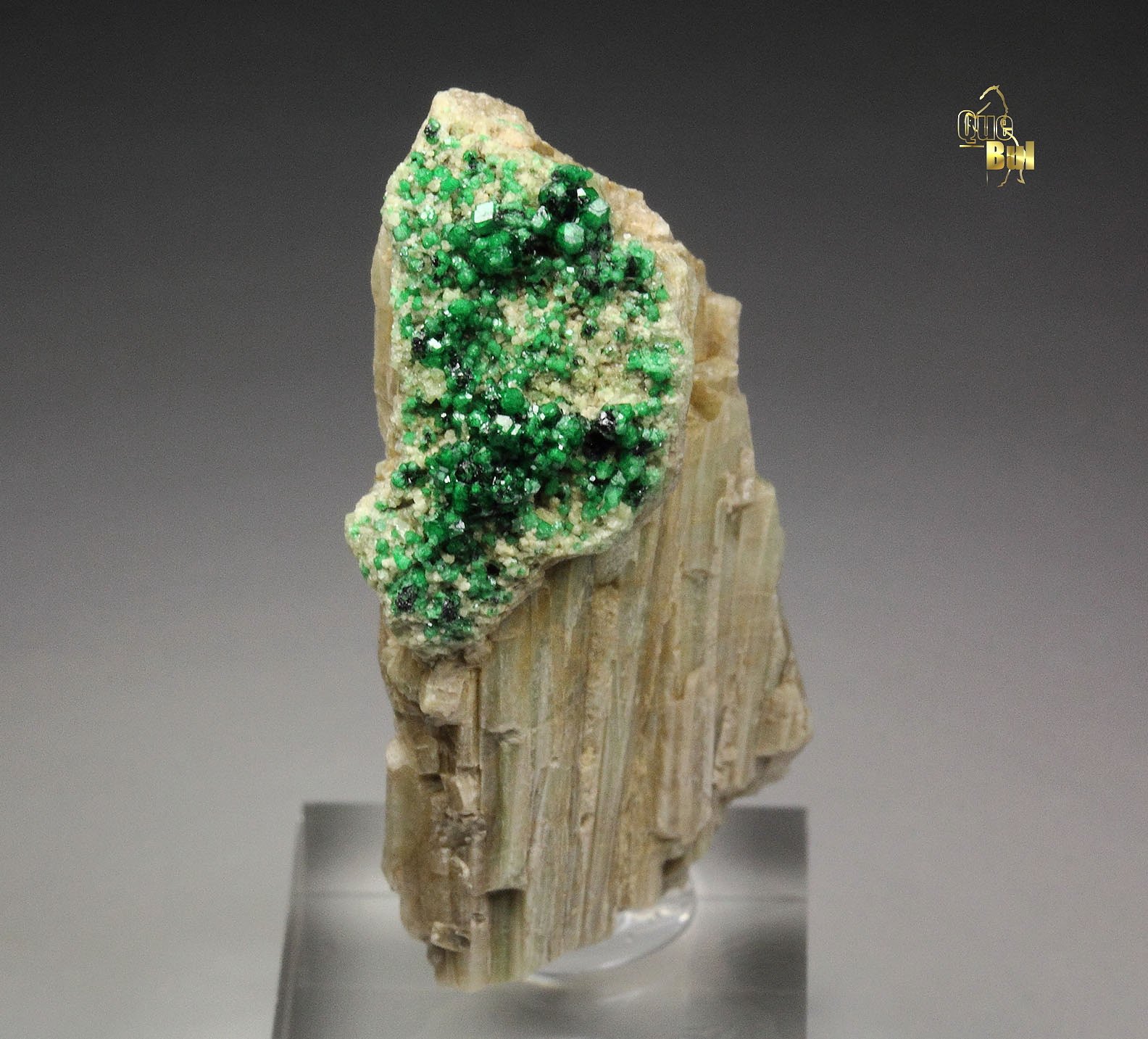 GARNET var. GROSSULAR var. CHROMIAN, DIOPSIDE, CHROMITE