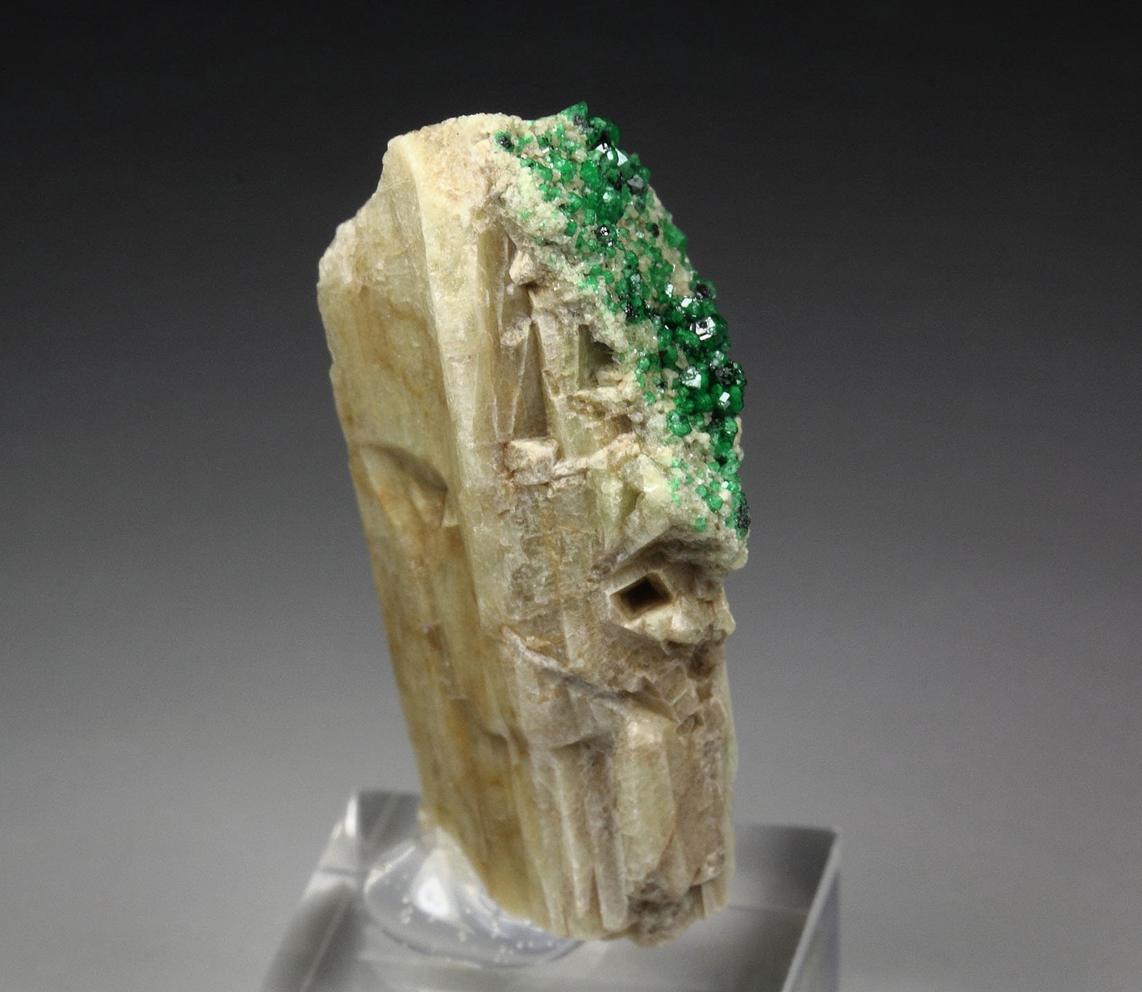 GARNET var. GROSSULAR var. CHROMIAN, DIOPSIDE, CHROMITE