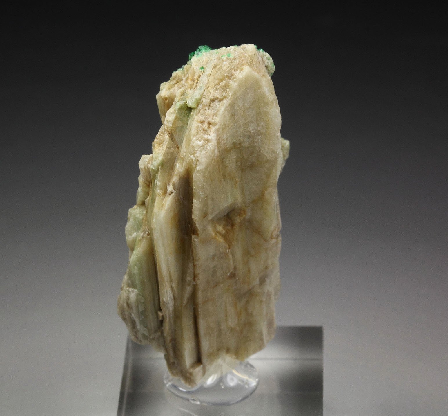 GARNET var. GROSSULAR var. CHROMIAN, DIOPSIDE, CHROMITE