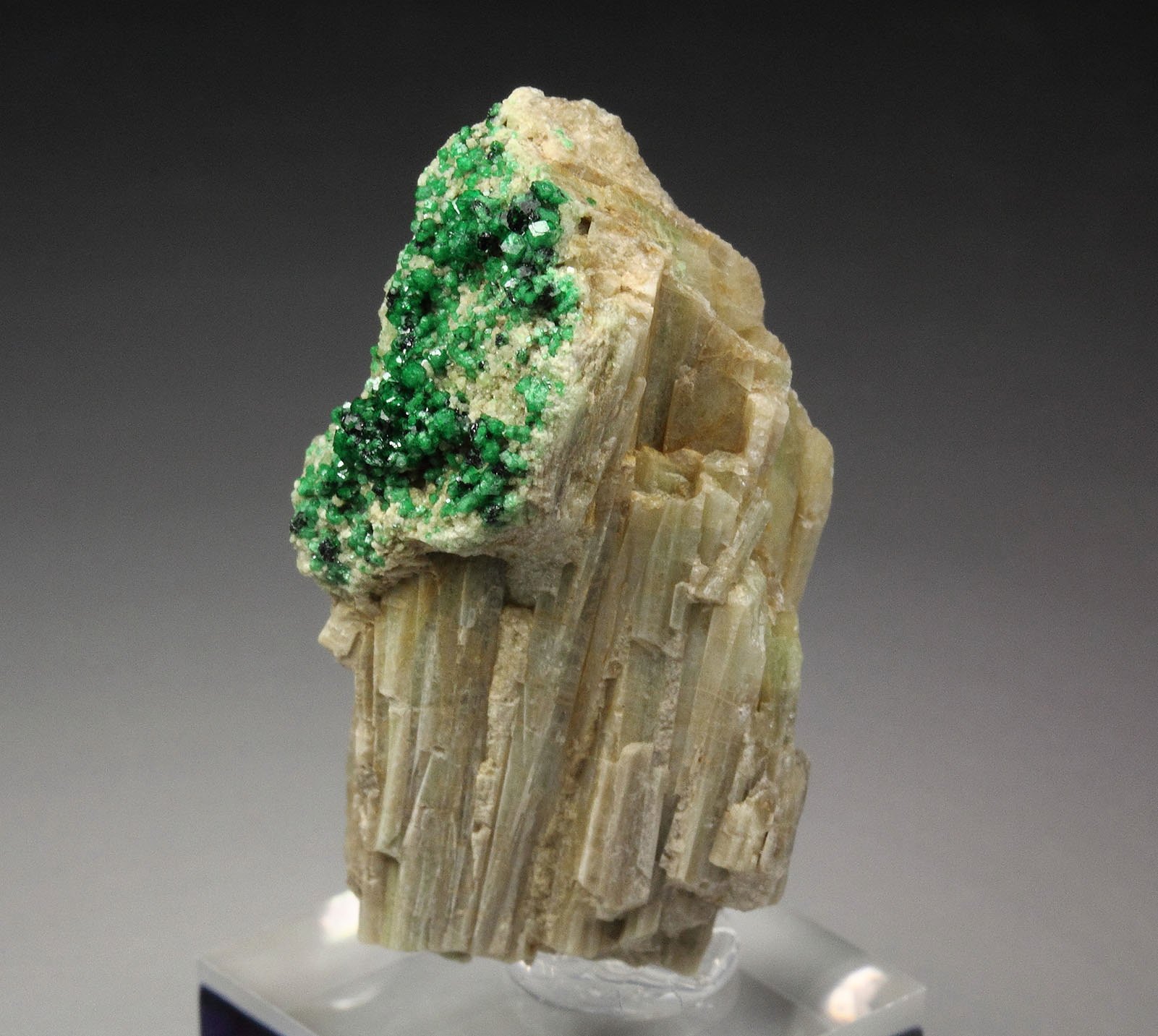 GARNET var. GROSSULAR var. CHROMIAN, DIOPSIDE, CHROMITE