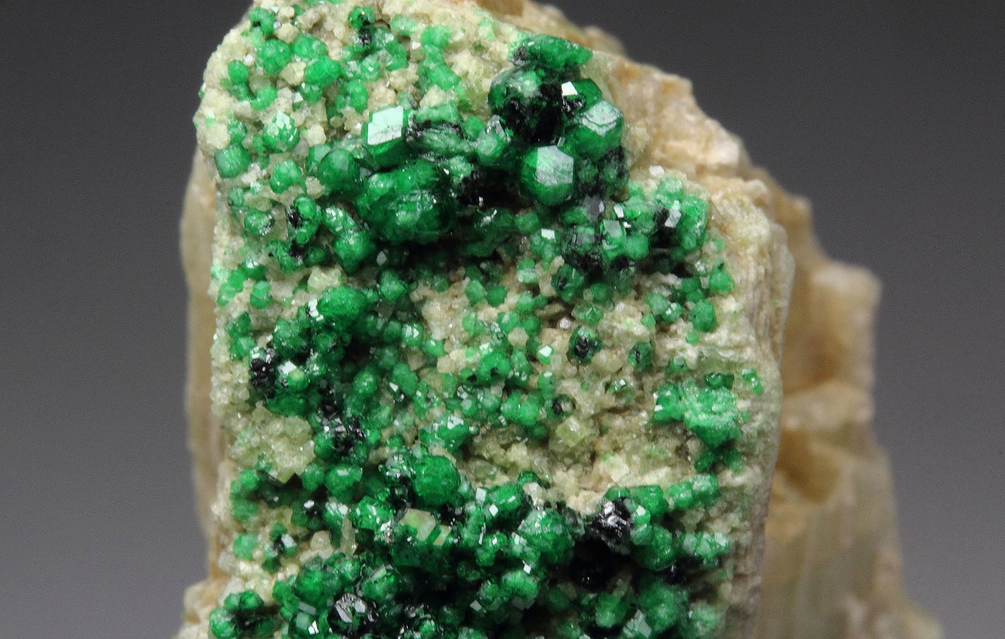 GARNET var. GROSSULAR var. CHROMIAN, DIOPSIDE, CHROMITE