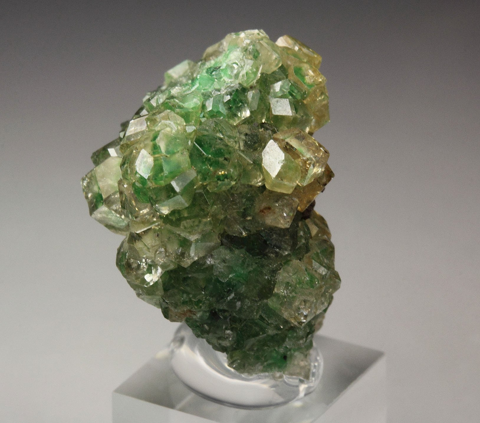 gem GARNET var. GROSSULAR with GREEN CHROMIAN PHANTOMS