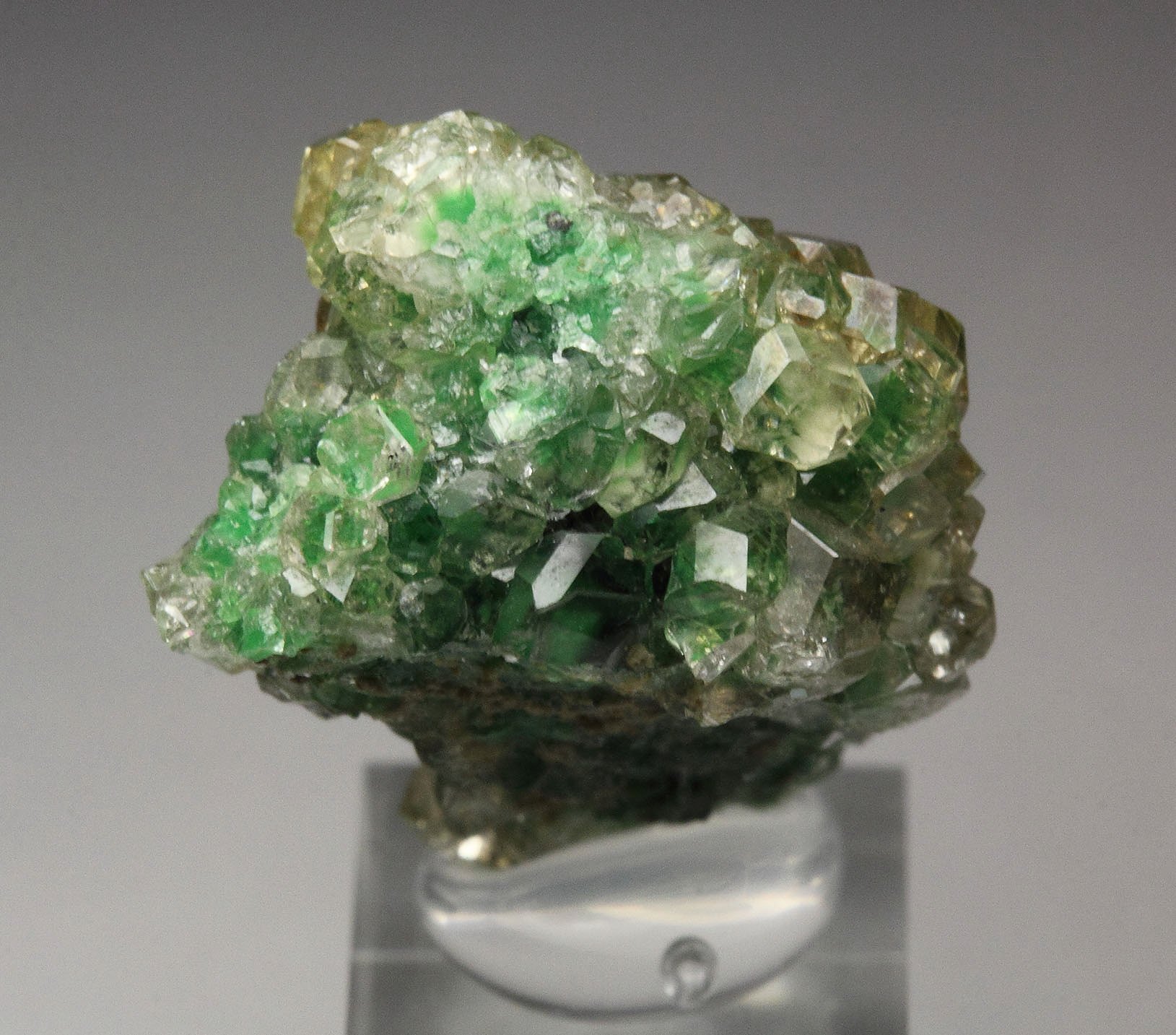 gem GARNET var. GROSSULAR with GREEN CHROMIAN PHANTOMS