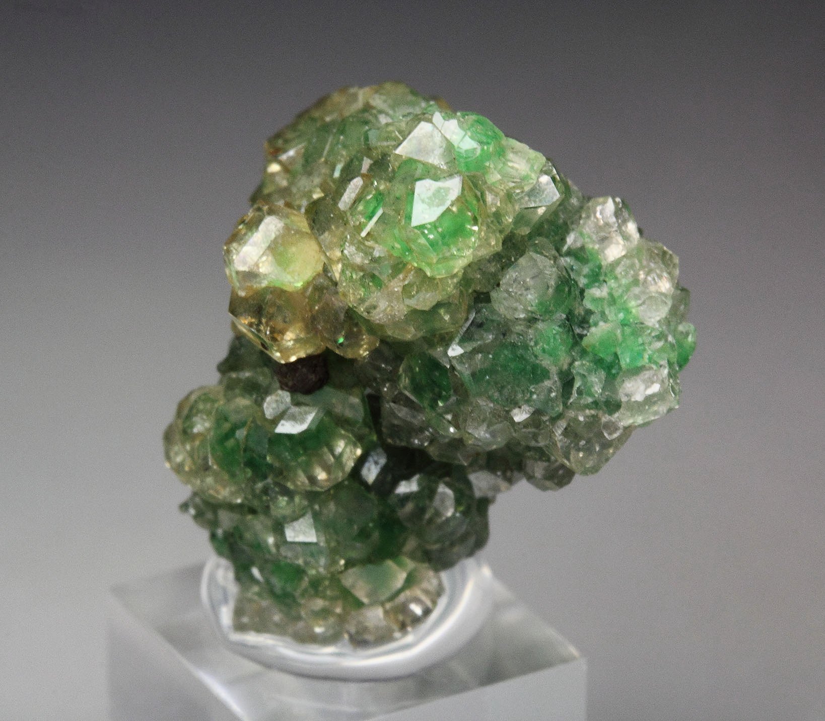 gem GARNET var. GROSSULAR with GREEN CHROMIAN PHANTOMS