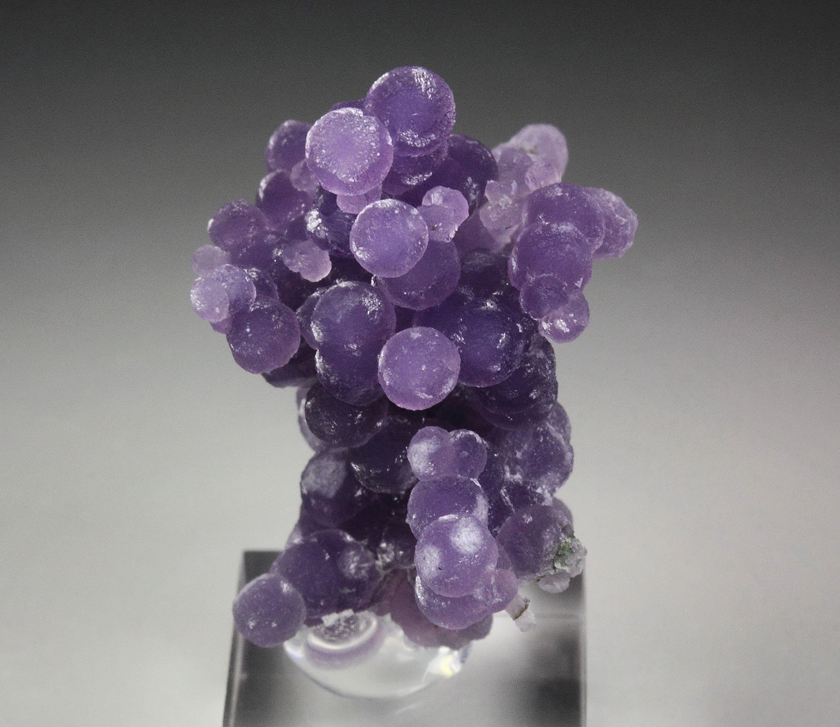 QUARTZ var. AMETHYST - grape agate