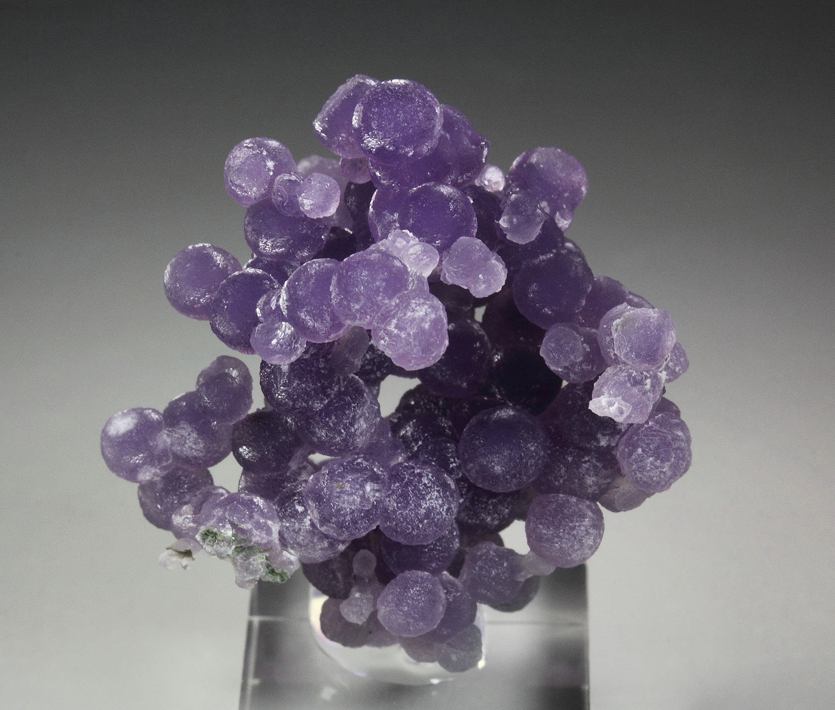 QUARTZ var. AMETHYST - grape agate