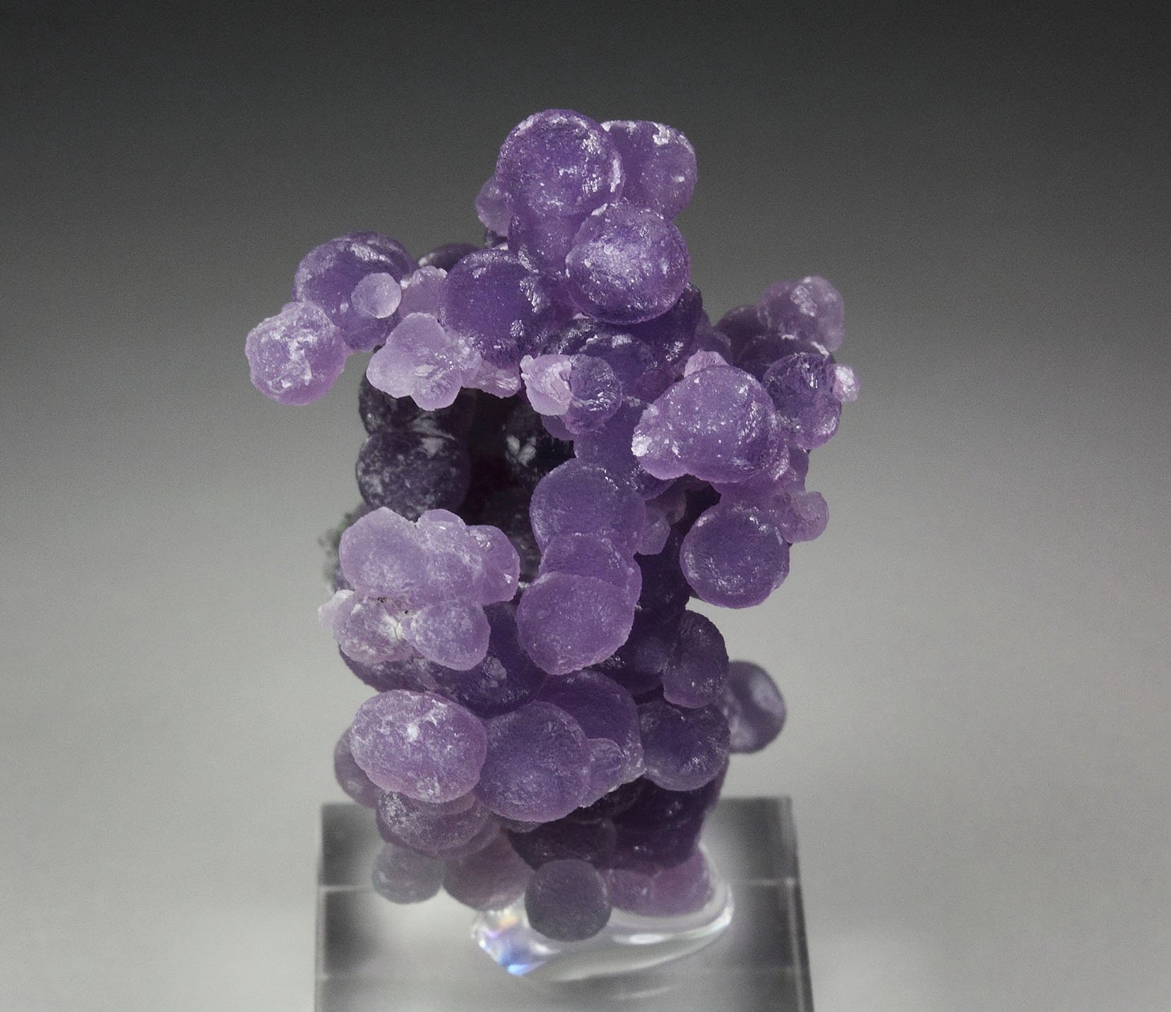 QUARTZ var. AMETHYST - grape agate